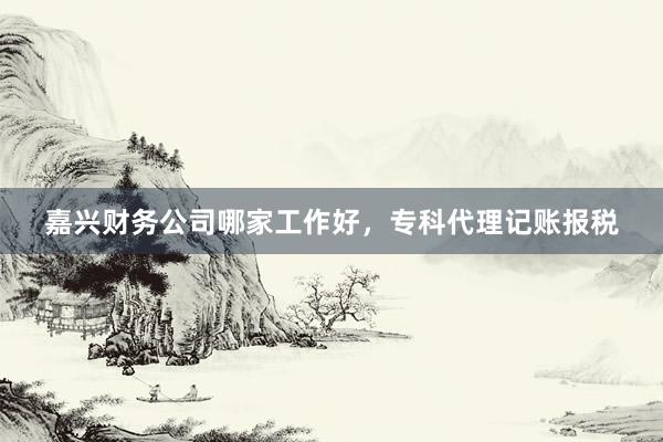 嘉兴财务公司哪家工作好，专科代理记账报税